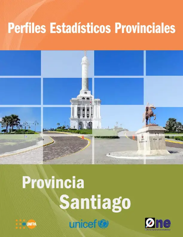 Perfiles Estadisticos Provinciales. Provincia Santiago