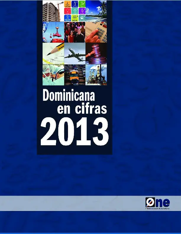 Dominicana en cifras 2013