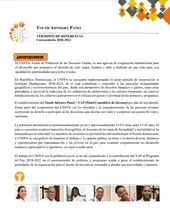 TÉRMINOS DE REFERENCIA CONVOCATORIA 2020-2022 YOUTH ADVISORY PANEL